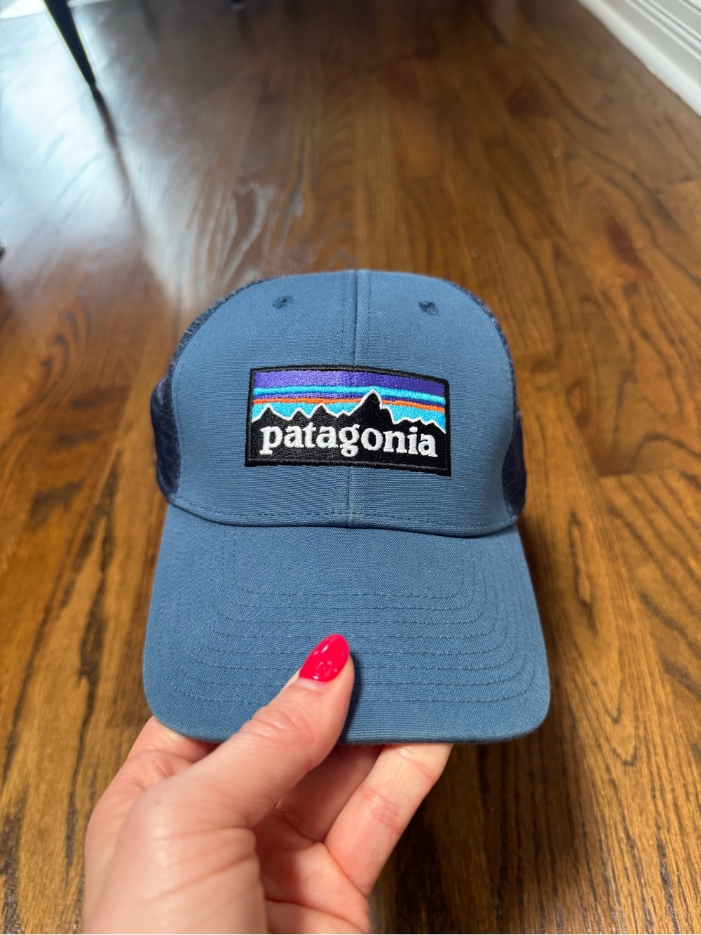 Patagonia Blue Trucker Hat with Multicolor Logo